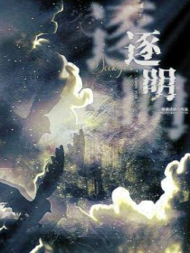 逐明月追清风
